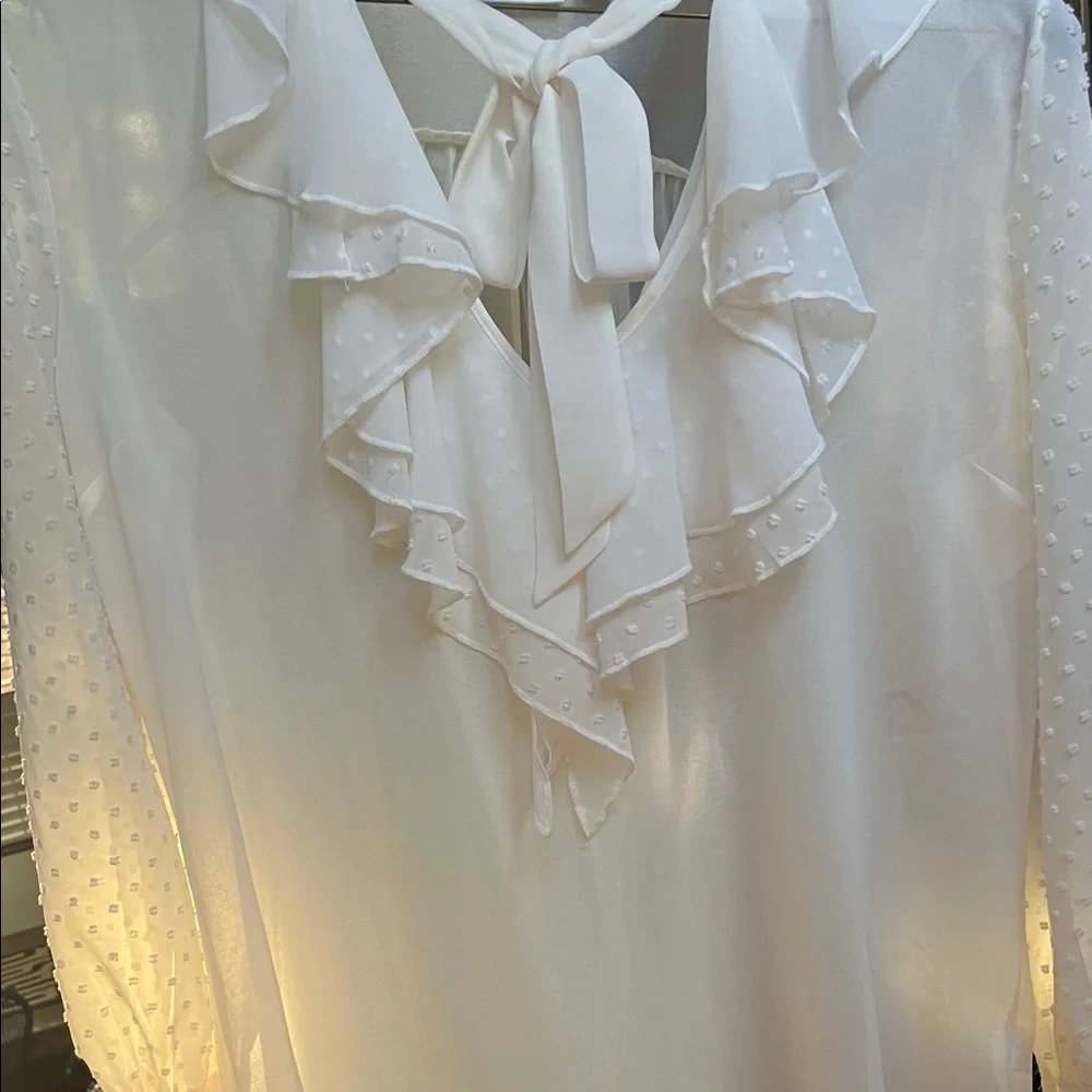 Elegant White Ruffled Blouse - Picture 6 of 11
